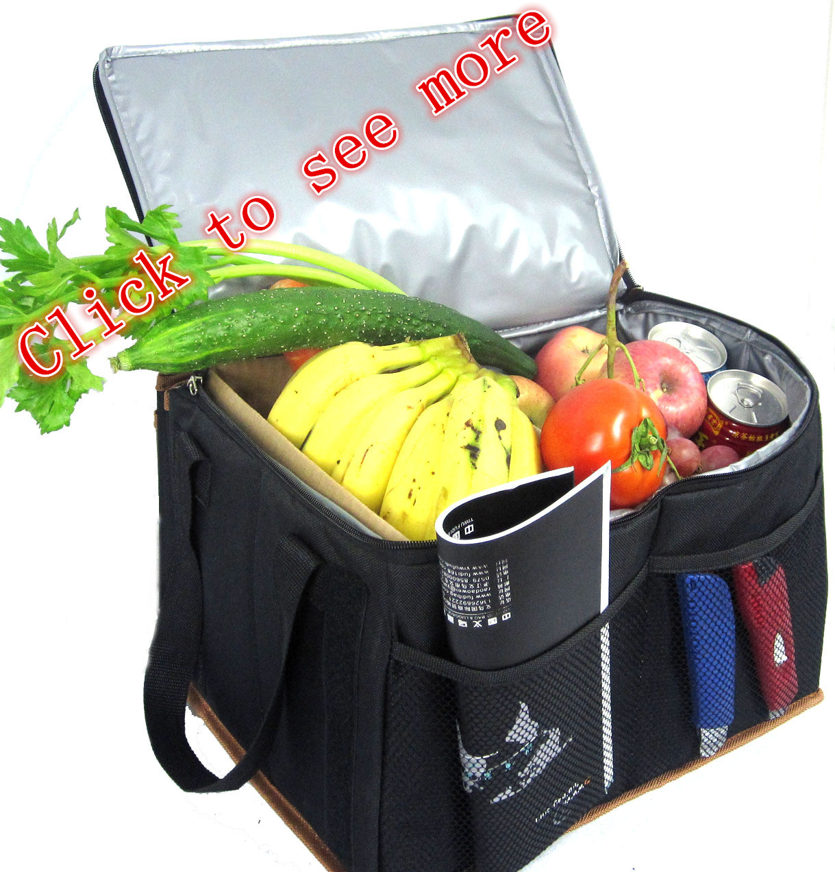 Cooler bag