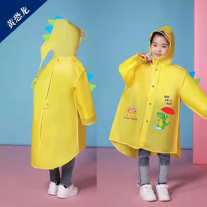 RS-CR002